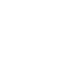 Business Analysis


